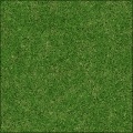 Natural Grass