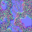 Normal Map