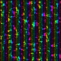 1000 lights