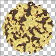 Variation 2