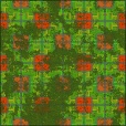 Diffuse Map
