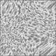 Bump Map