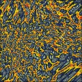 Seventies Organism