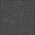Bump Map