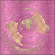 Variation 4
