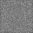 Diffuse Map