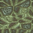 Variation 7