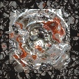 Variation 7