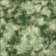 Diffuse Map
