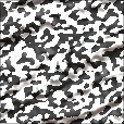 Variation 6