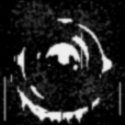 Bump Map