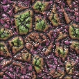 Variation 2