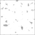 Spec Exponent Map