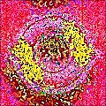 Exploding Globs