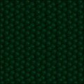 Dragon Skin
