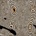 Tree Rings