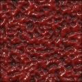 Blood