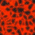 Diffuse Map