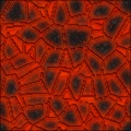 Magma Armor