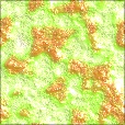 Variation 4