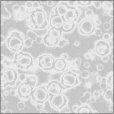 Bump Map