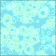 Diffuse Map