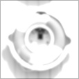 Bump Map