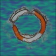 Variation 2