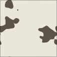 Diffuse Map