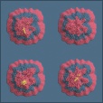 Variation 3