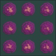 Variation 4