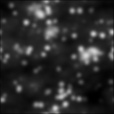 Bump Map