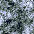 Coral Reef