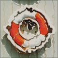 SX-70 polaroid emulsion
