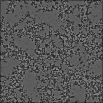 Bump Map