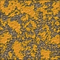 Paint on Asphalt