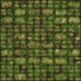 Diffuse Map