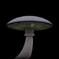 Shrooms