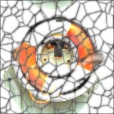 Diffuse Map
