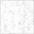 Ambient Occlusion Map