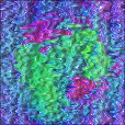 Variation 6