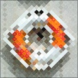 Variation 5