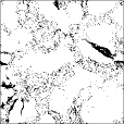 Reflective Occlusion Map