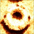 Coals