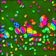 Diffuse Map