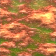 Variation 2