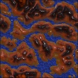 Variation 4