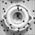 Bump Map
