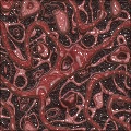 Swirl Art by Fortunas