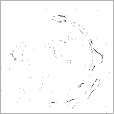 Reflective Occlusion Map